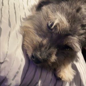 Meet your Posher, Melvin